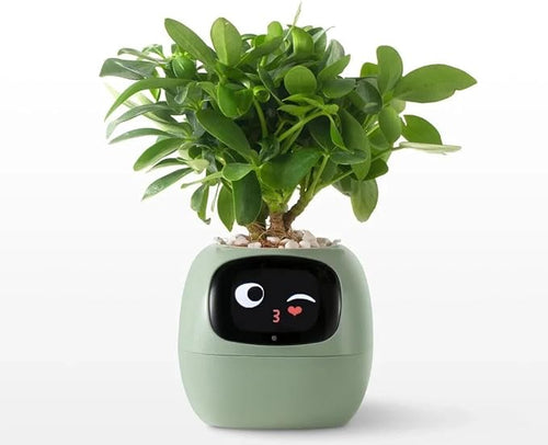 Pot de fleurs intelligent