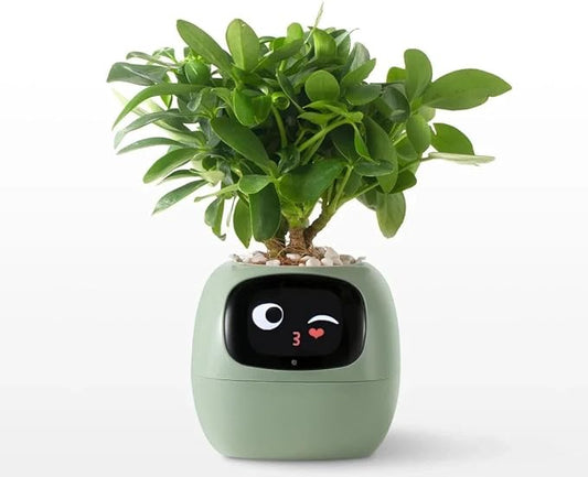 Pot de fleurs intelligent