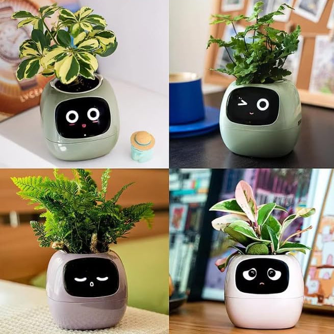 Pot de fleurs intelligent